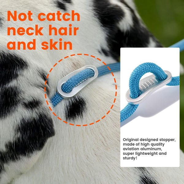 Howgo Dog Slip Lead Dog Leash, Training Leash, No-Pull Lightweight Slip Lead and Collar, Heavy Duty & Durable, Padded Handle, for All Breeds (MultiColor, 5.5FT)