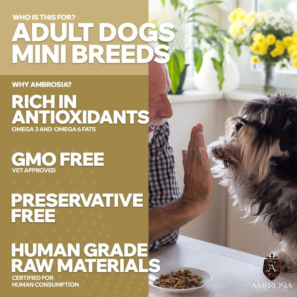 Ambrosia Ultra Premium Pet Food® | Grain-Free Dry Dog Food Small Breed, 1.5Kg, Hypoallergenic, High-Protein, Holistic | Fresh Salmon & Rabbit, Small Kibble
