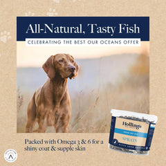 Hollings Sprats Dog Treats Tub, 100% Natural with Fresh Fish Air Dried Treats for Dogs, Hypoallergenic and Grain Free 500g