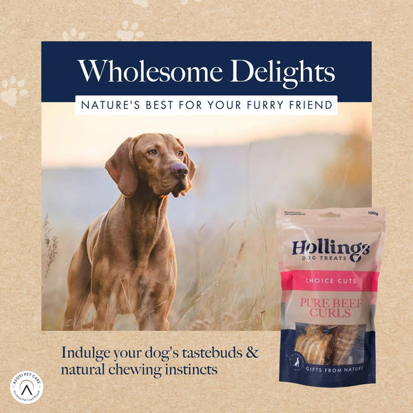 Hollings Beef Curls Dog Treats, All Natural Grain Free & Easily Digestible Air Dried Treats for Adult Dogs, Made From 100% Beef Trachea, 100g - Pack of 8