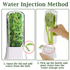 SUQ 2PCS Herb Saver for Refrigerator, 27*13 CM, Fresh Herb Keeper Herb Storage Container, Vegetable Storage Long Term Freshness Preservation, Keeps Cilantro Greens Fresh for 2-3 Weeks