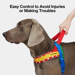 VETRESKA Dog Harness and Leash Set, Easy Walk Dog Harness for Small Medium Dogs, No Pull Puppy Harness for Walking and Training, Adjustable, Take Control & Anti-Twist Pet Lead Combo (Red, XS)