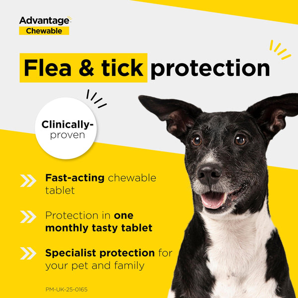 Advantage Chewable 56mg Chewable Tablets for Dogs 1.3-2.5kg (3 pack), Flea and Tick Treatment, Fast Acting Kills Fleas Within Hours, Prevention Lasts For A Month, Easy To Administer