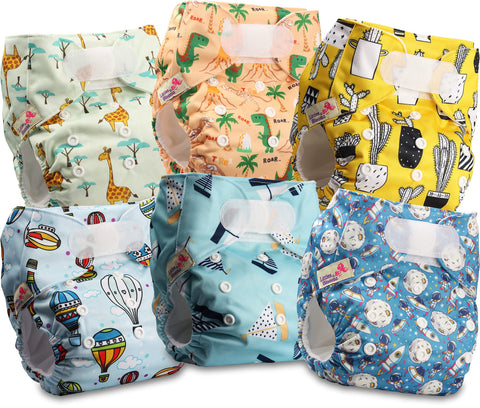 Littles and Bloomz Baby Reusable Pocket Nappy Cloth Diaper, Standard Hook-Loop, 6 Nappies, FLV2-0602