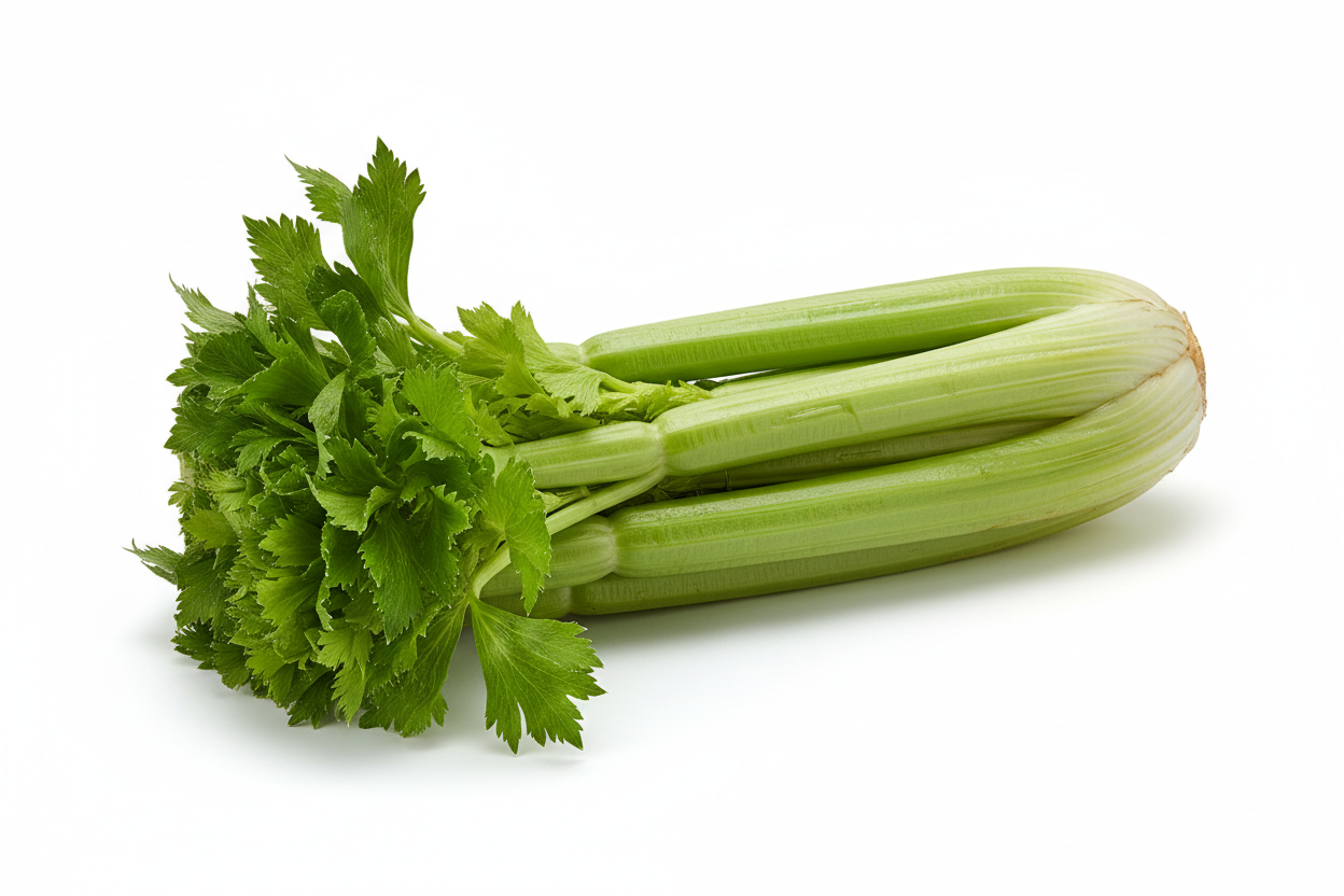 CELERY-BUNCH