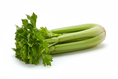 CELERY-BUNCH