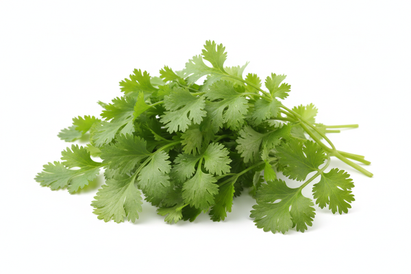 Fresh Coriander 30gm