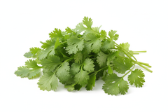 Fresh Coriander 30gm
