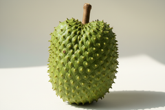 large soursop