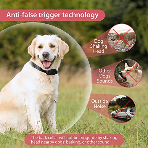 Anti Bark Collar Rechargeable for Small Medium Large Dogs No Shock Anti Barking Dog Collars Stop Dog Barking Device 7 Sensitivities Beep & Vibration Mode, No Bark Collar Training Dogs No Barking, Pink