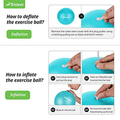 Trideer Pilates Ball 9 Inch Core Ball, Small Exercise Ball with Exercise Guide Barre Ball Bender Ball Mini Yoga Ball for Pilates, Yoga, Core Training, Physical Therapy, Balance, Stability