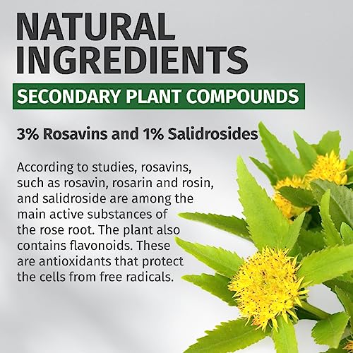Rhodiola Rosea (120 Capsules á 500mg) - German Production - 100% Vegan and Without additives - 4 Month Stock