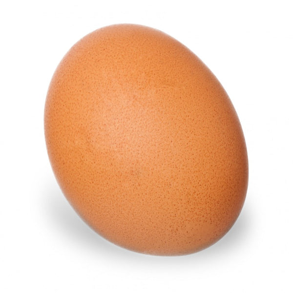 Egg Msonge Organic Family Farm Fumba Superstore Fumba Store Egg msonge organic family farm fumba superstore fumba store