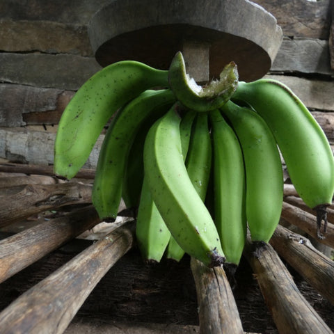 Green Banana - Bunch