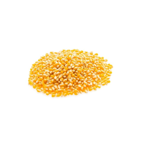 Popcorn Seeds 1kg